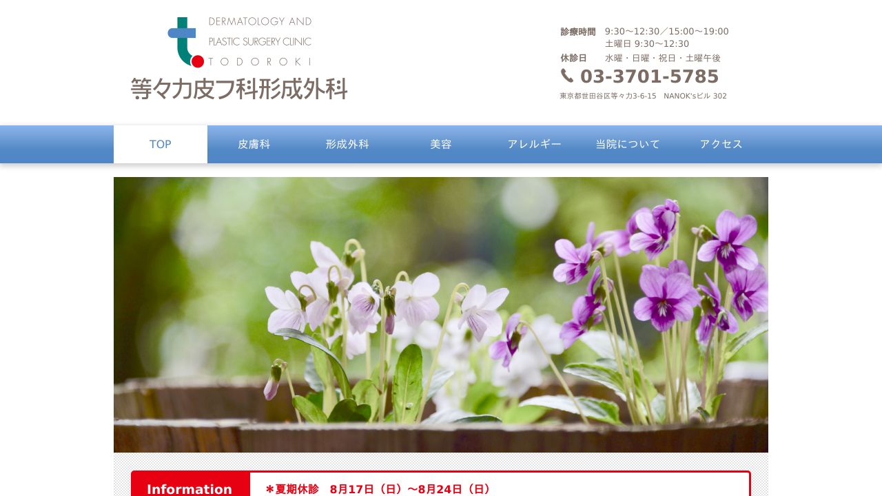 等々力皮フ科形成外科